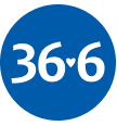 36 и 6
