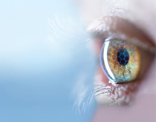 Разрабатываем революционные технологии